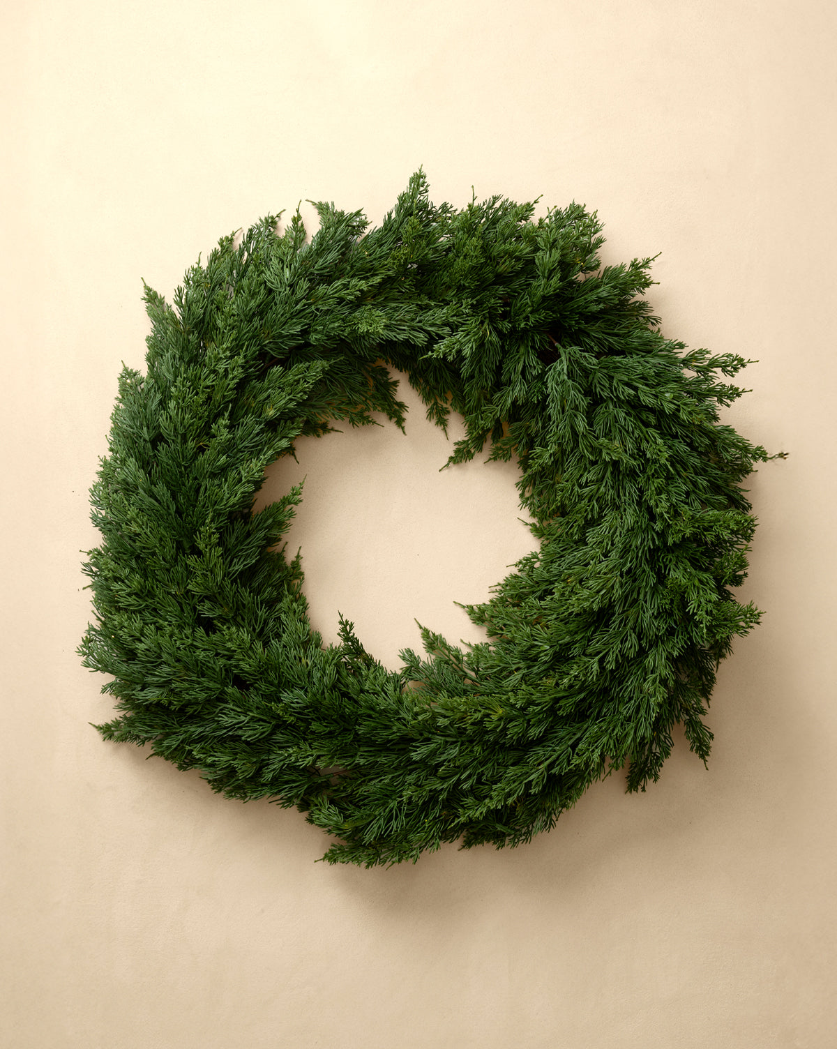 The 30" Classic Cedar Pre-Lit Faux Wreath, with lush green evergreen branches, hangs on a plain beige wall and brings festive holiday charm, by Vendixs