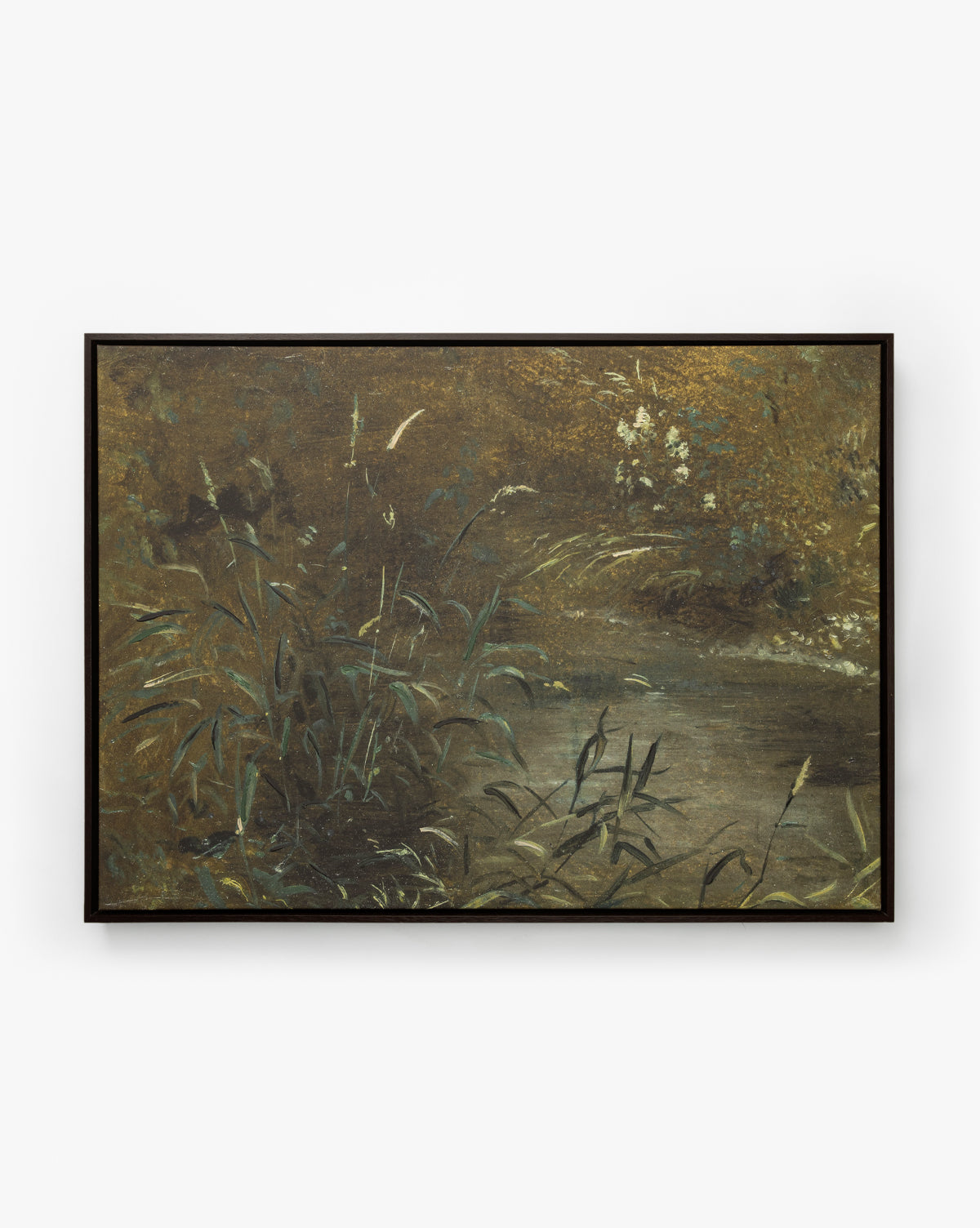 Bank Grasses is a gallery-wrapped giclee canvas painting depicting a tranquil pond bordered by tall grasses, with water reflecting lush foliage under gentle natural light, by Vendixs