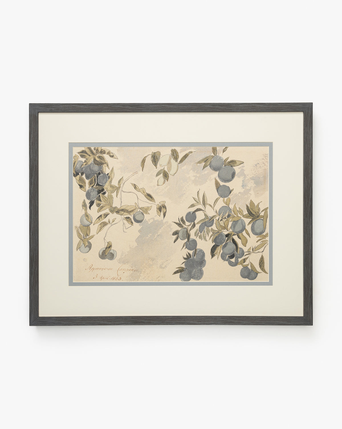 Blue Fruits: Framed botanical art of a branch with clustered blue fruits and soft green leaves, painted in vintage style on beige, bordered by a slim gray mat and charcoal woodgrain frame, by Vendixs