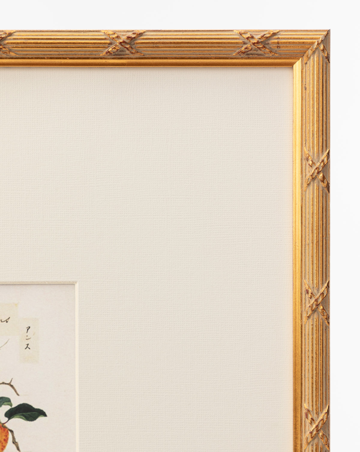 Close-up of a gold frame with a white mat, showcasing the Botanical Grid 1 giclee print featuring text and an illustration of a leaf and orange fruit—an ideal piece of botanical wall art for your space, by Vendixs