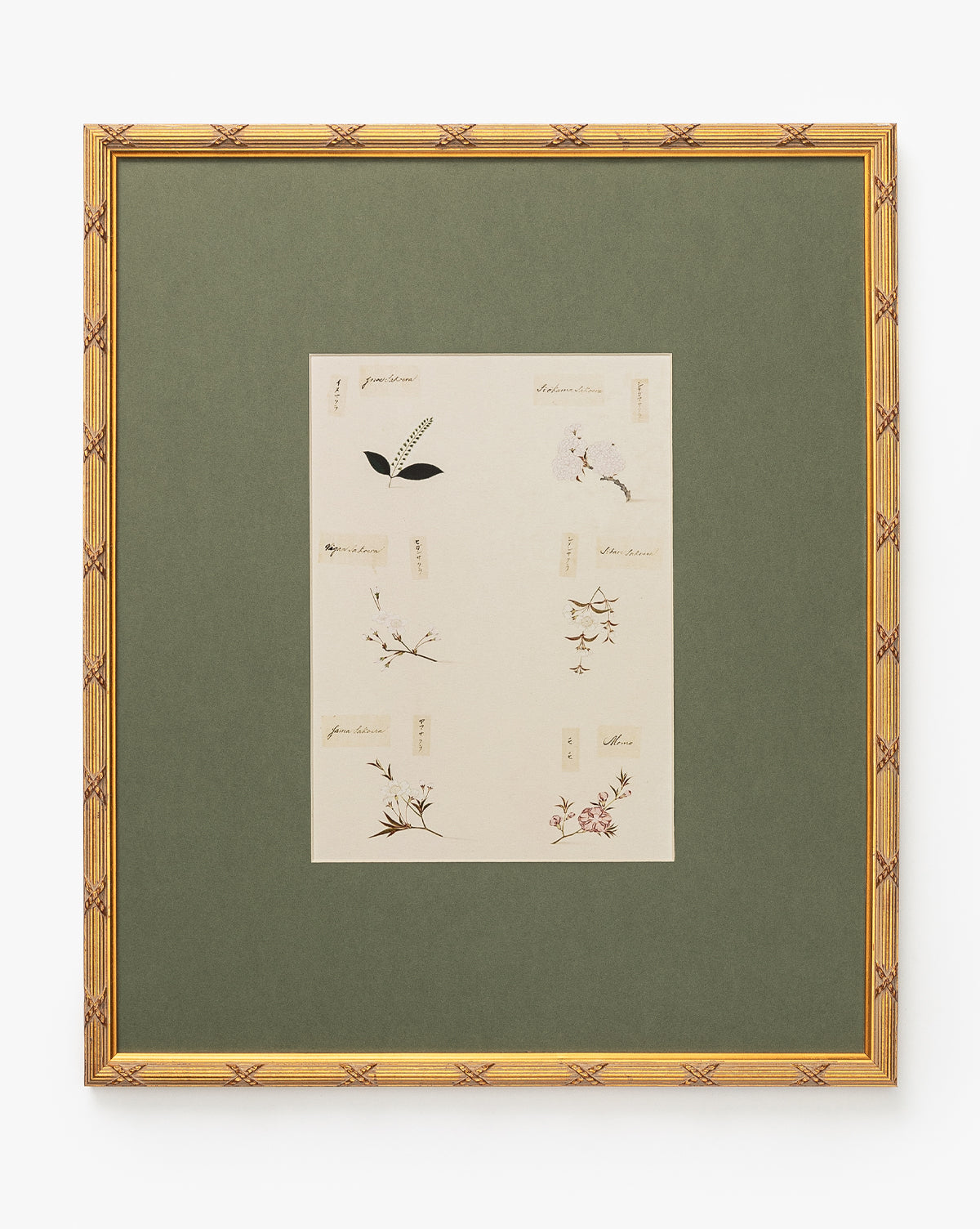 Botanical Grid 2 is a framed botanical giclee print with a green mat and gold wood frame, showcasing small, labeled illustrations of different plants and flowers arranged thoughtfully on a cream background, by McGee & Co.