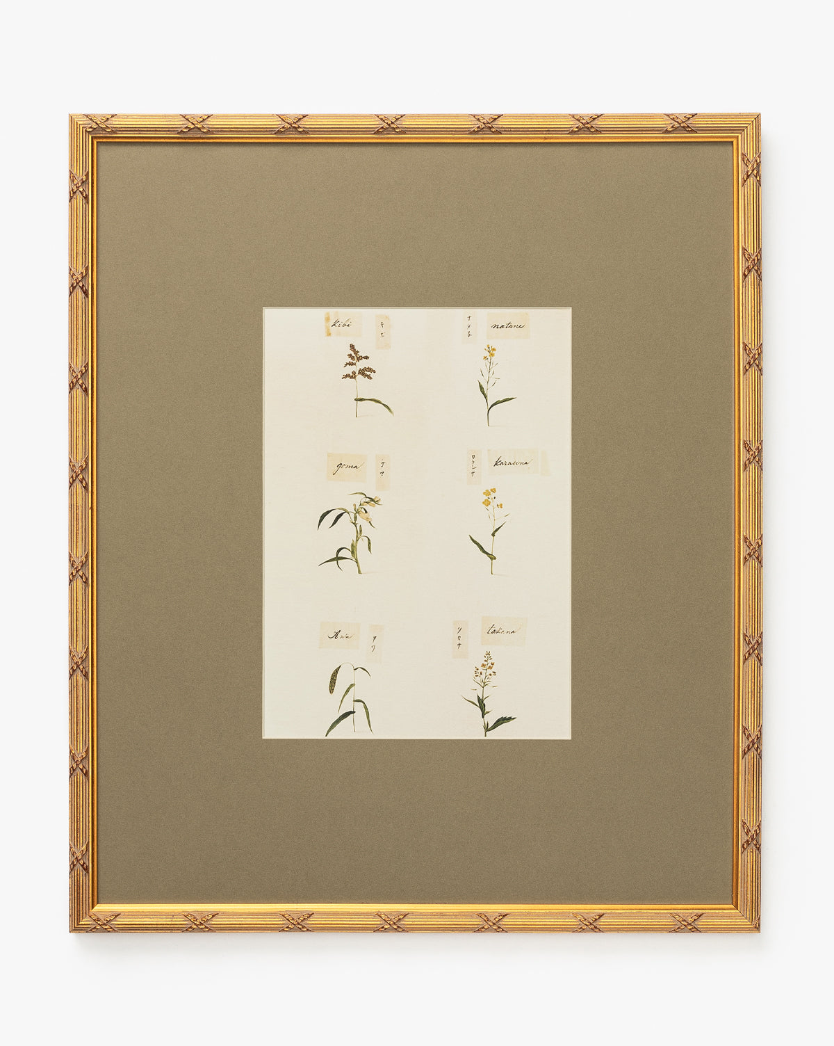 Botanical Grid 3 features six plant giclee prints, each labeled with handwritten names on small paper pieces, set against a beige mat and white background, all encased in a gold frame, by McGee & Co.