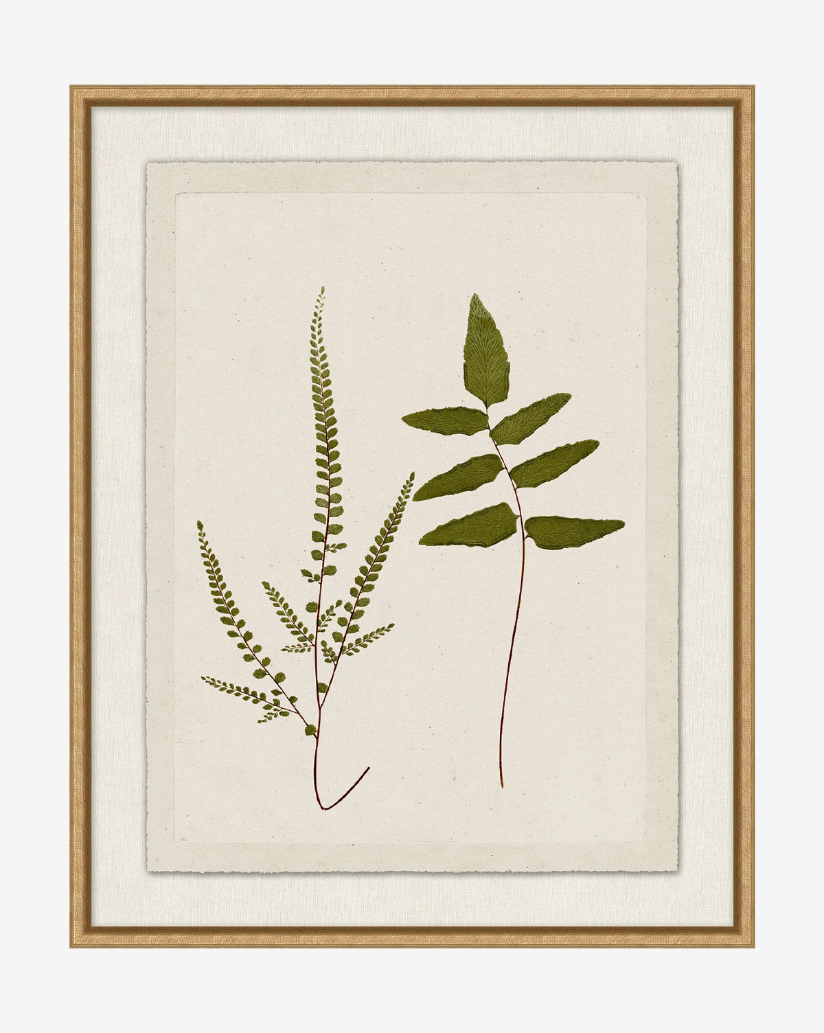 Botanical Pressings I: A framed giclee print with two green botanical leaves—one fern-like and one broader—on a cream, textured paper-like background in a gold-finished frame, by McGee & Co.