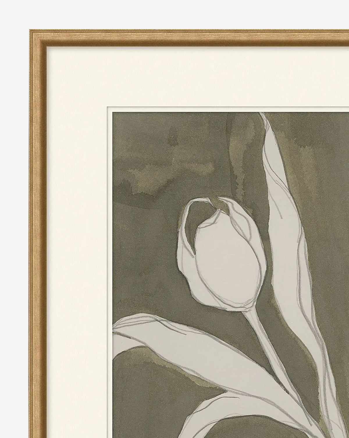 Delicate Tulip I by Rebekah Webb is a framed artwork showcasing a simple, sketch-style white tulip with leaves on a dark, muted background; only the top left of the gold frame and art are visible, by Vendixs