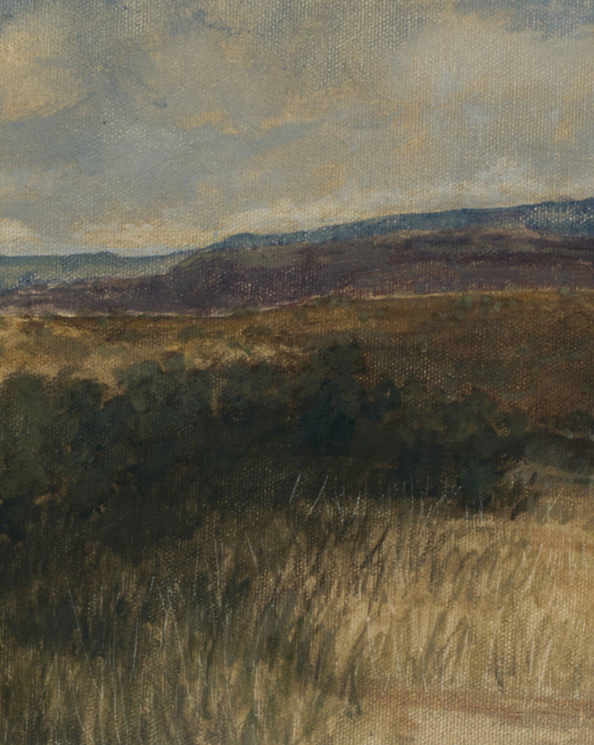 Desert Hues I by Aileen Fitzgerald features grassy fields, dark green shrubs, and rolling hills beneath a cloudy sky, beautifully printed on fine art paper and elegantly framed in white oak, by Vendixs
