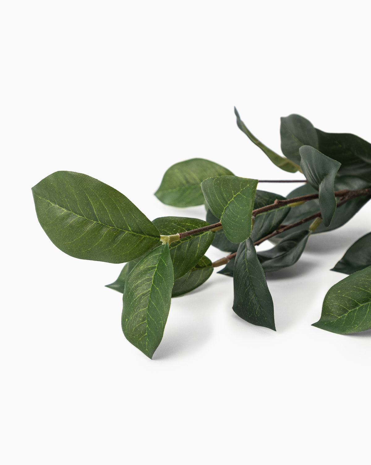 A Faux Gardenia Leaf Stem with multiple green, oval-shaped leaves featuring visible veins rests on a white background, showcasing its natural and healthy look, by Vendixs
