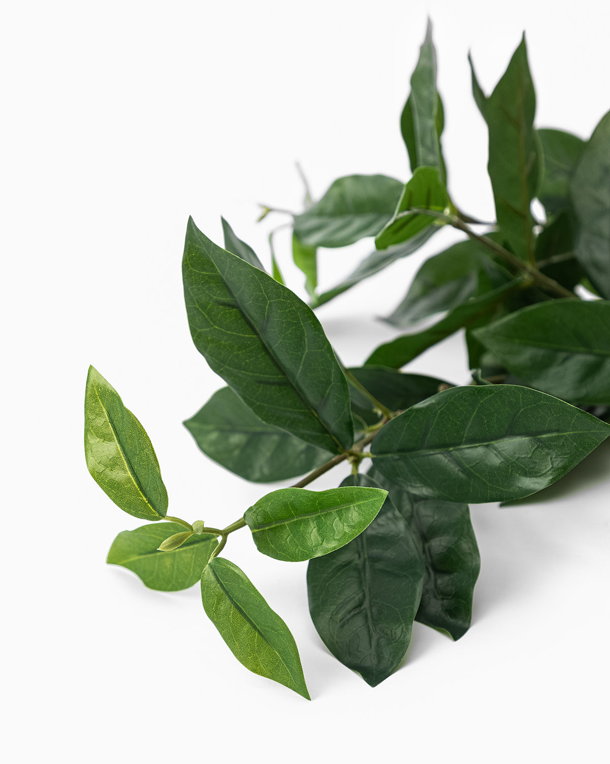 The Faux Laurel Leaf Branch features smooth, pointed leaves and makes an ideal decorative accent or faux stem for any space, shown here against a plain white background, by Vendixs