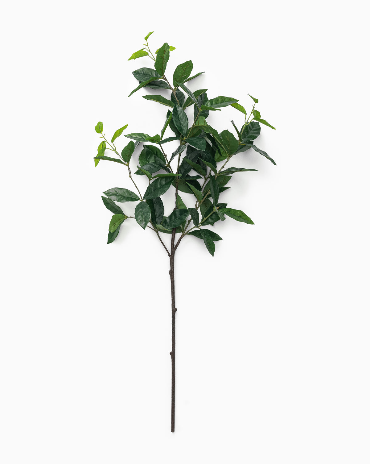The Faux Laurel Leaf Branch features multiple green leaves on dark brown stems, displayed against a plain white background, by McGee & Co.