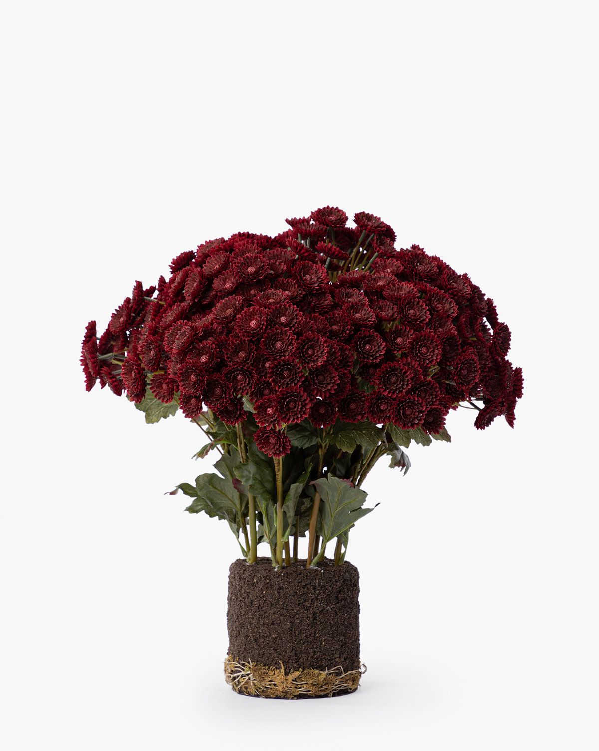 The Faux Mum Drop-In features lifelike deep red mum chrysanthemums with green leaves, upright blooms, and visible roots in soil, all displayed against a plain white background, by Vendixs