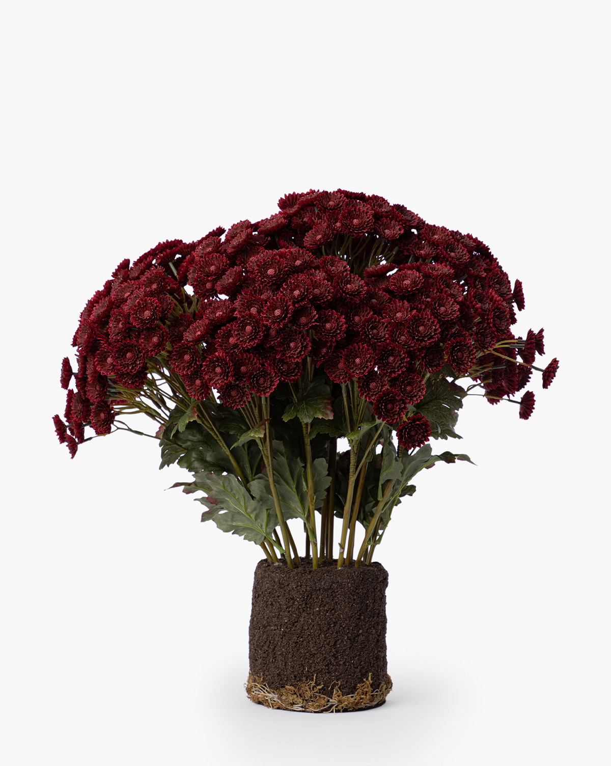 The Faux Mum Drop-In features lifelike deep red blooms and green leaves, displayed upright with exposed roots and soil, making striking seasonal decor against a plain white background, by Vendixs