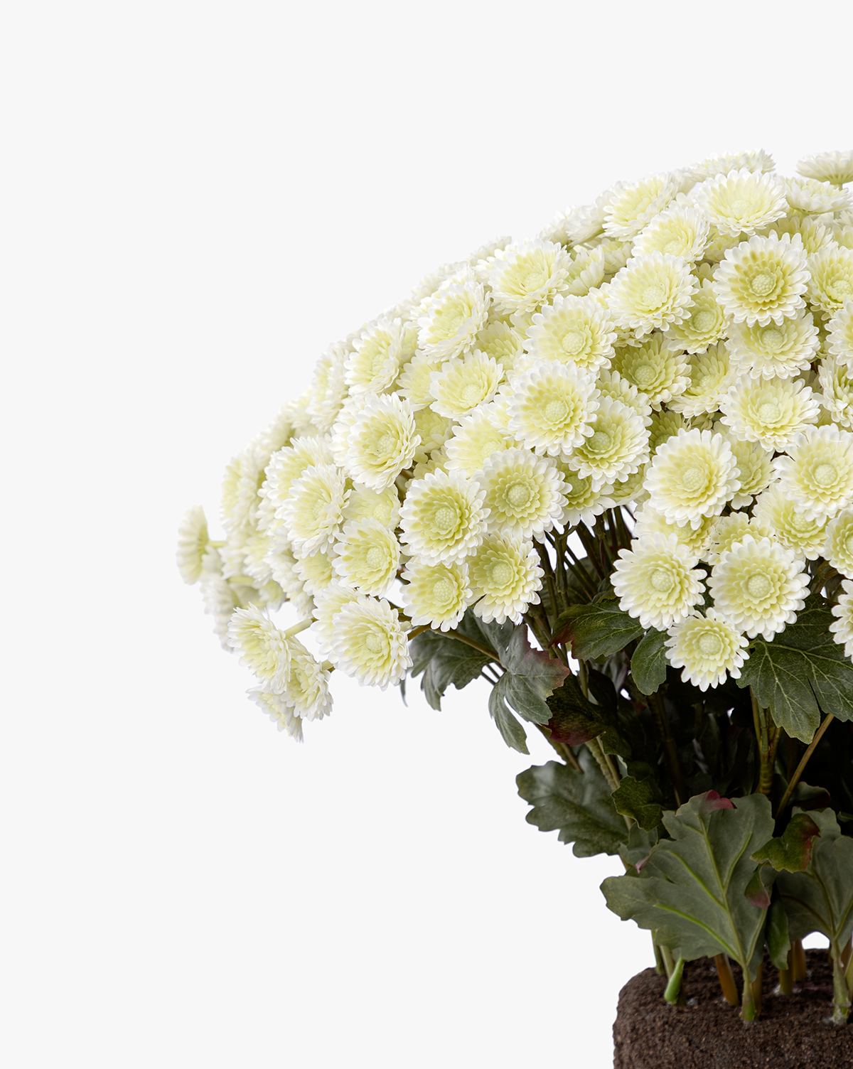 The Faux Mum Drop-In features lifelike pale yellow chrysanthemum blooms with green leaves and visible roots, set against a plain white background, by Vendixs