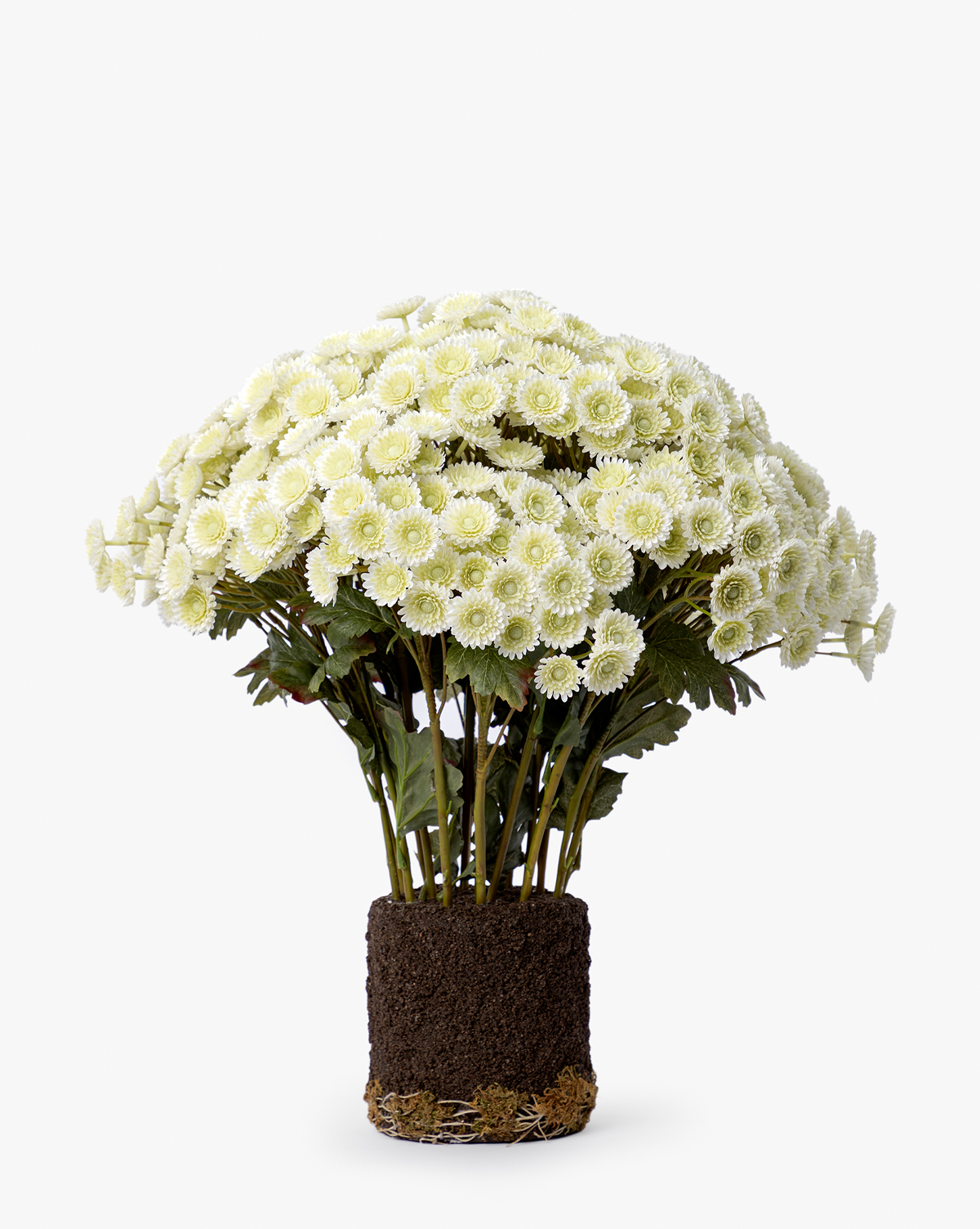 The Faux Mum Drop-In features pale yellow, lifelike chrysanthemum blooms, green stems, and leaves displayed upright with exposed roots and soil—ideal for seasonal décor—shown on a plain white background, by McGee & Co.