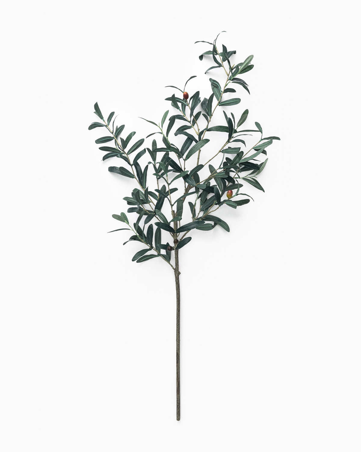 The Faux Olive Branch features green leaves and a few small olives, perfect for olive branch decor, displayed on a white background, by McGee & Co.