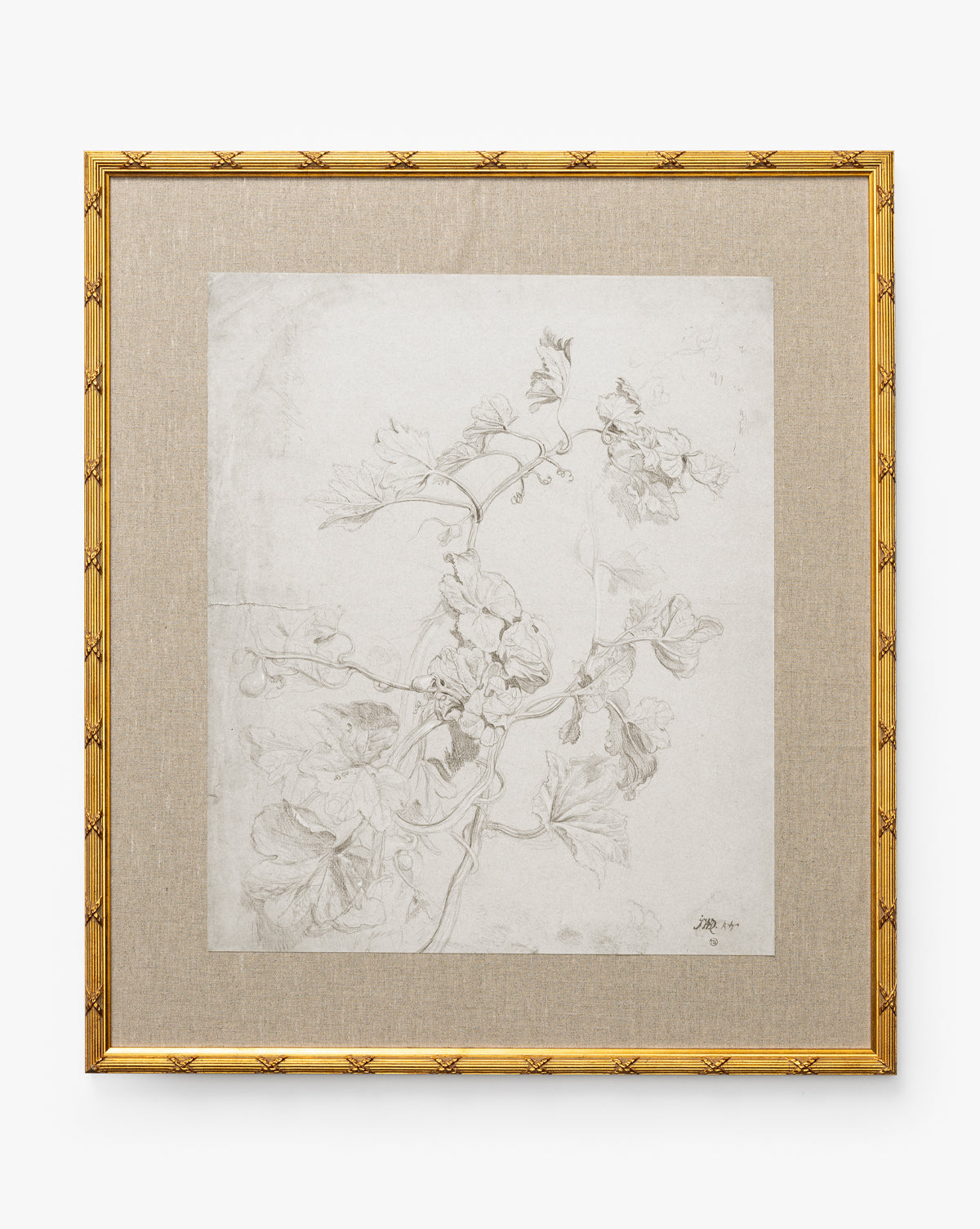 Feathery Floral