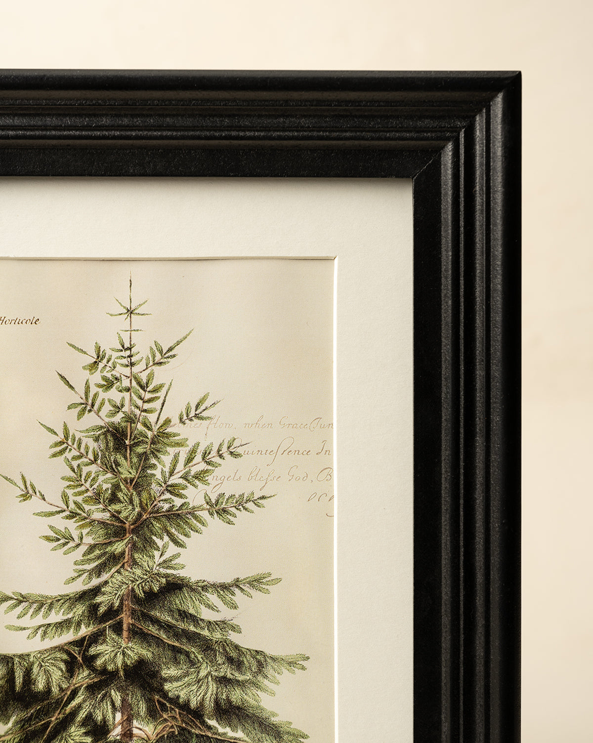 A close-up of the Holiday Tree Art print shows the top of a pine tree with faint handwritten text in the background. The black frame has a ridged border, making it perfect as holiday wall decor, by Vendixs