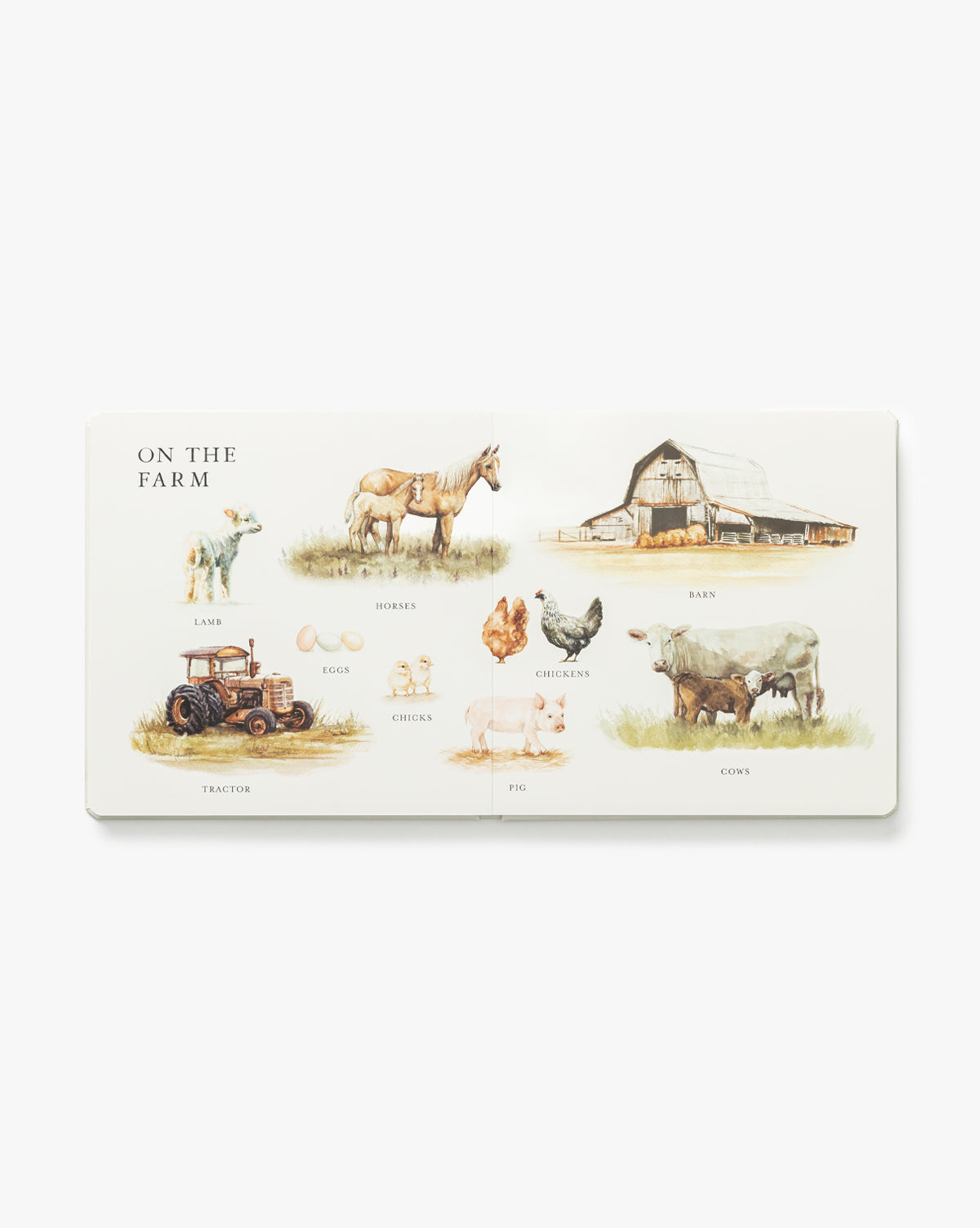 A page from Our Big Book of First Words titled On the Farm features labeled illustrations to teach children vocabulary such as lamb, horse, barn, tractor, eggs, chicks, chickens, pig, and cows on a white background by Vendixs