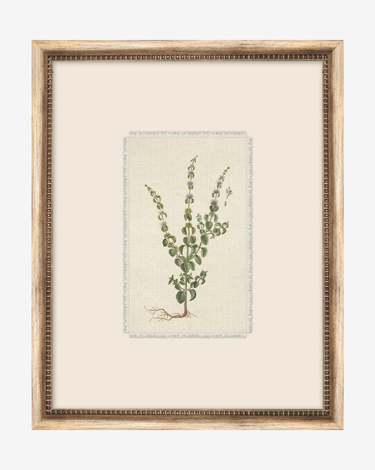Petite Floral VI is a framed botanical illustration of a green plant with purple and white flowers on a light beige background in a vintage-style wood frame, featuring beautifully detailed roots, leaves, and stems—ideal for home décor, by Vendixs