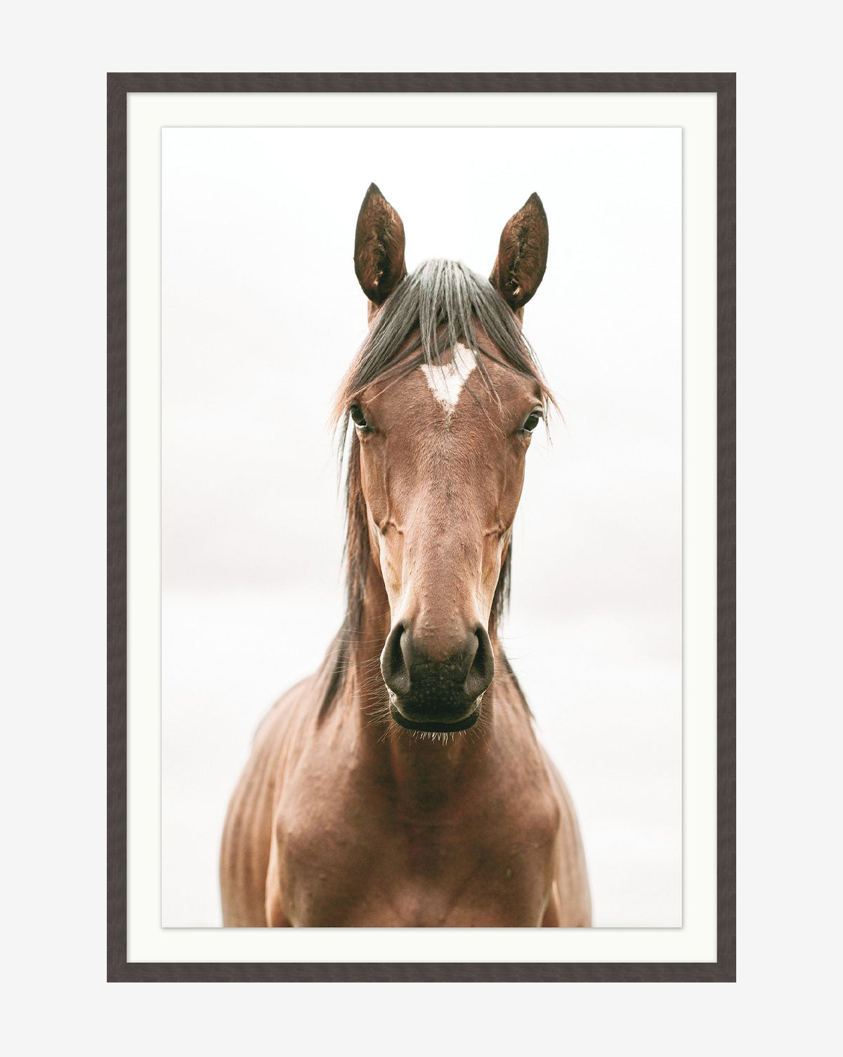 Presence by Stokley Berg: A museum-quality photo of a brown horse with a white diamond on its forehead, set against a soft, blurred background and elegantly presented in a black wood frame, by Vendixs