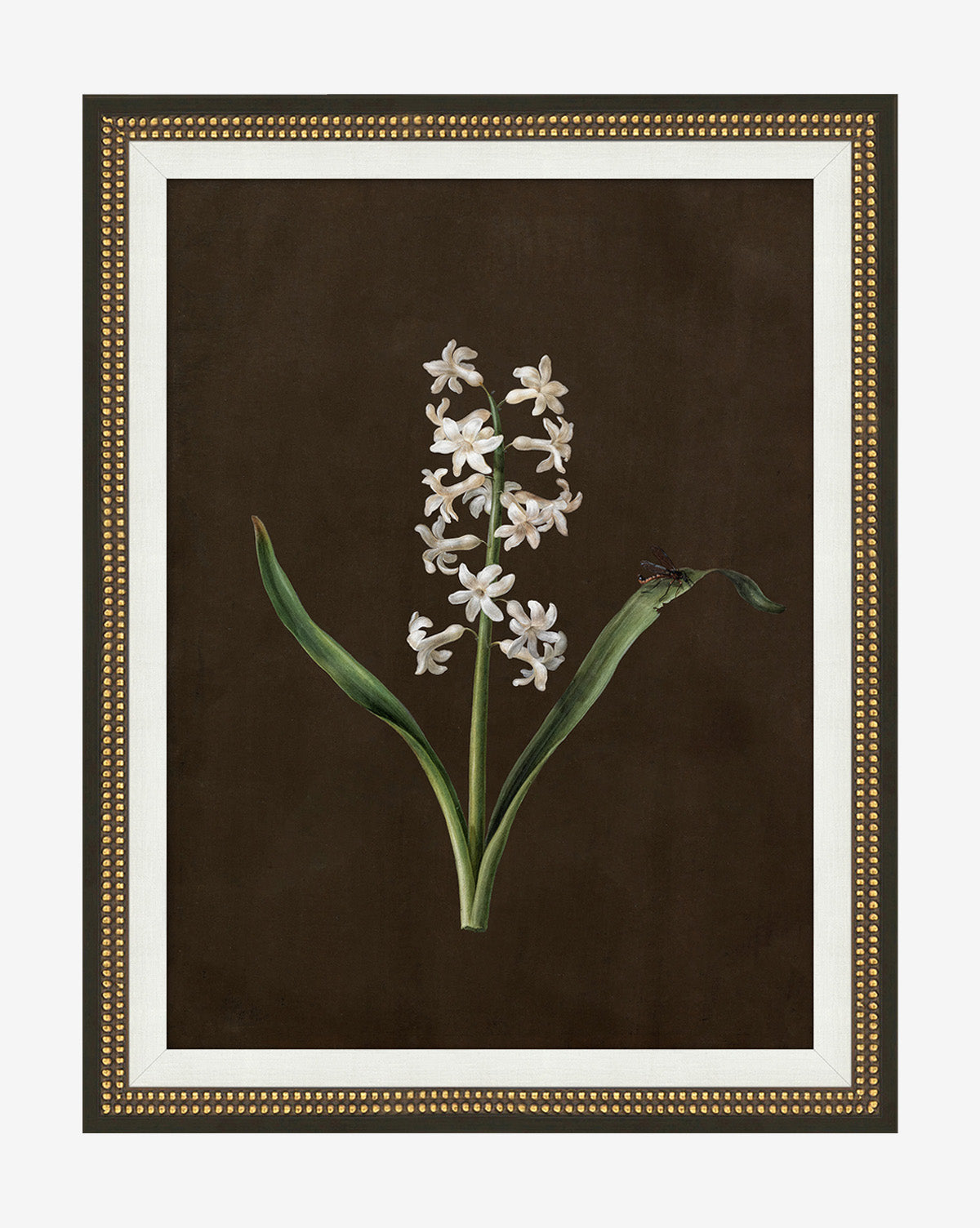 Sepia Sprouts I is a gallery-quality art piece showcasing a botanical illustration of a white flower with green leaves on a dark brown background, finished with an ornate gold-detailed frame—perfect for gold frame wall art lovers, by Vendixs