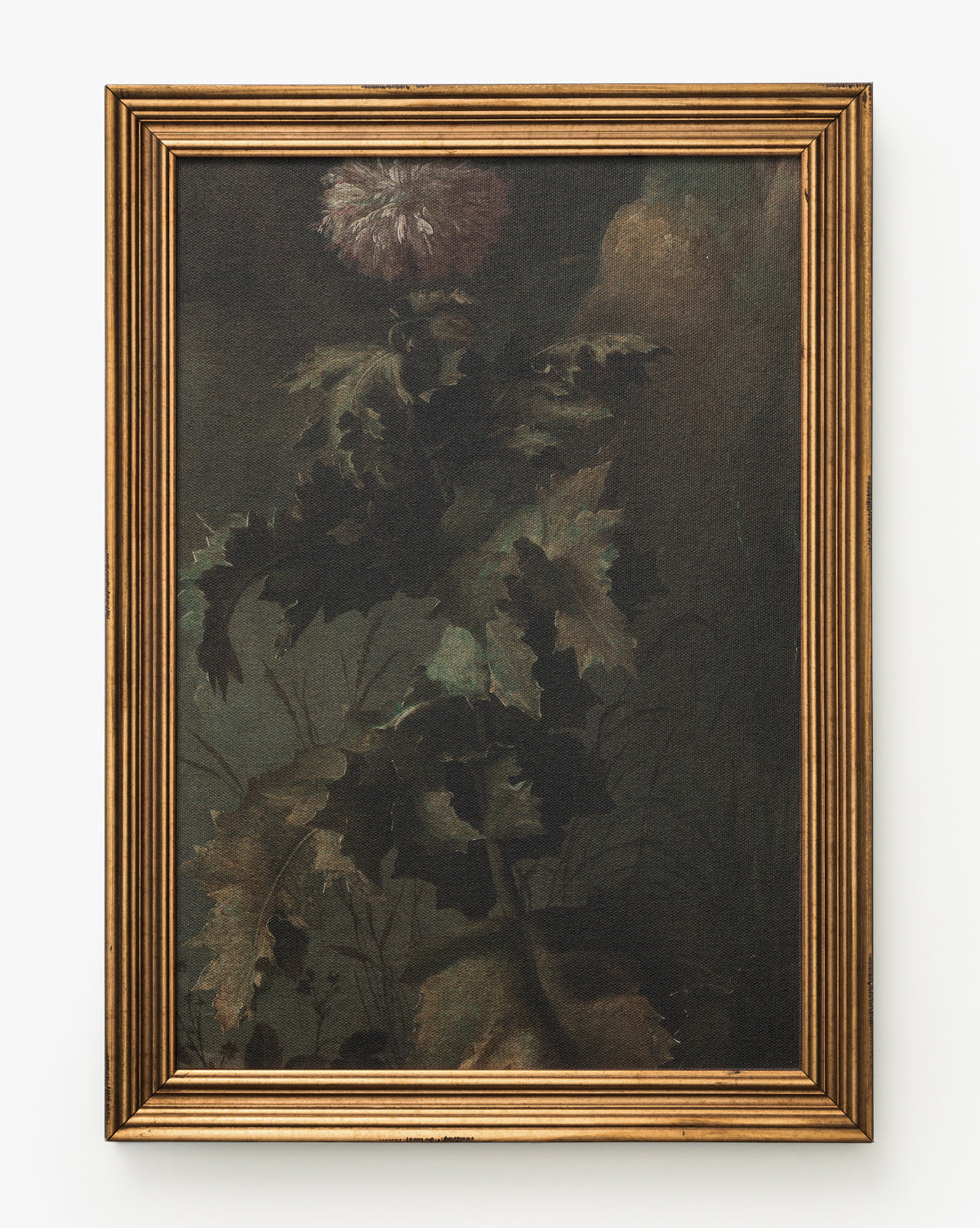 Thistle Down