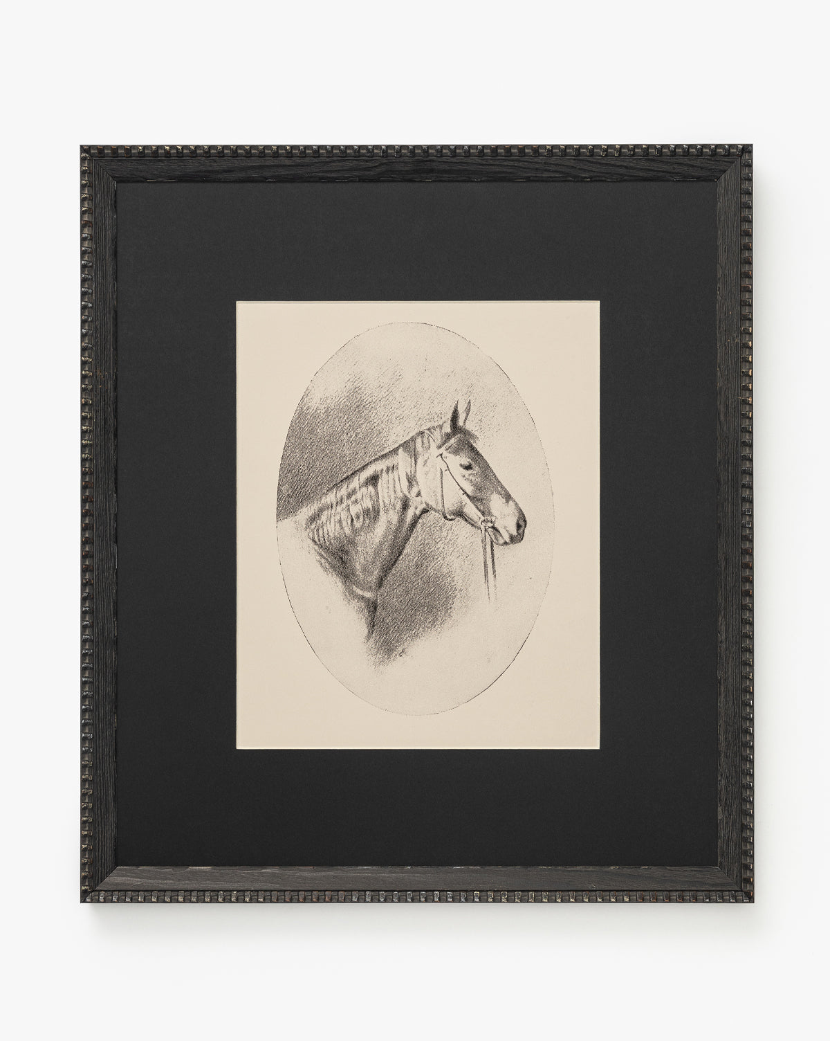 Winnie: A framed black-and-white horse portrait in profile, centered in a circular border on a light background with a wide matte and ornate black frame—an elegant wall art piece, by Vendixs