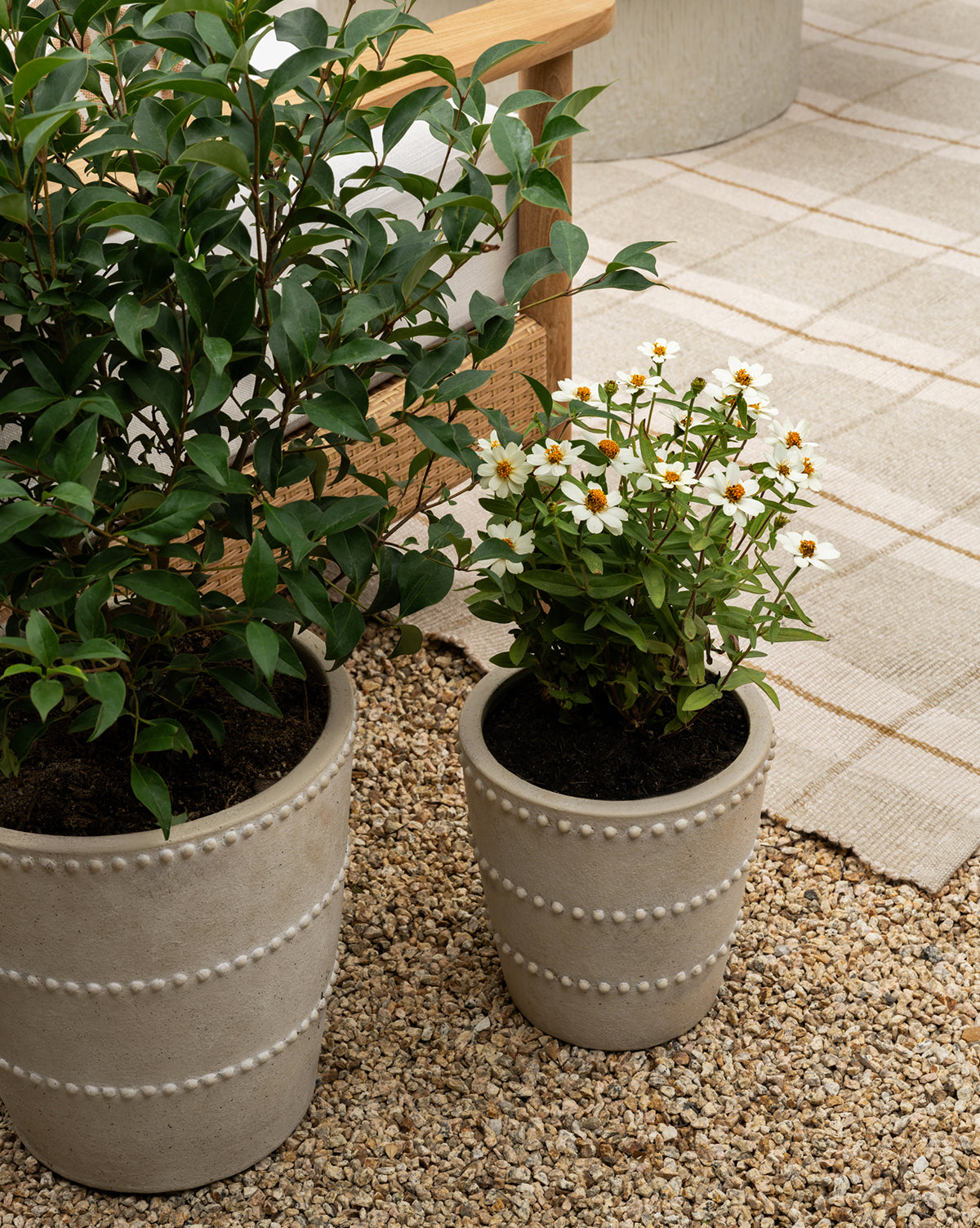 Small and large distressed white terracotta planters styled in the backyard from Vendixs