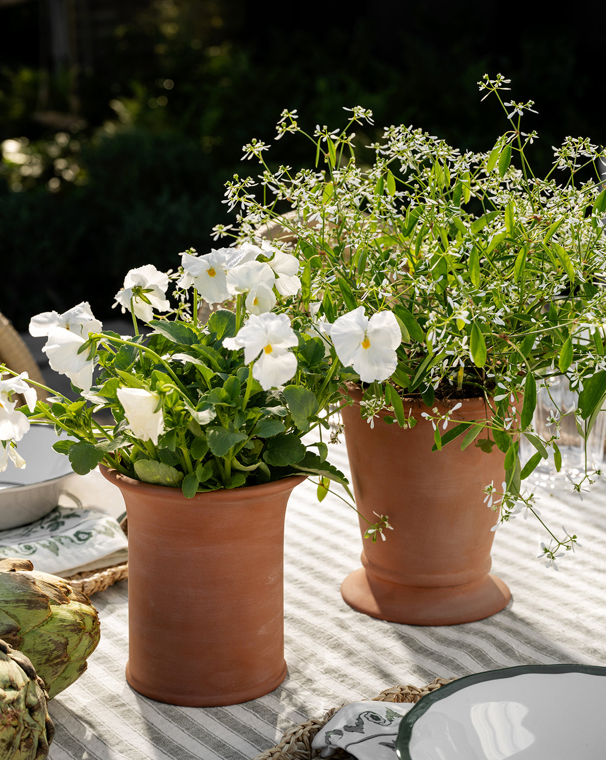 Two UCP INTERNATIONAL COMPANY LIMITED Lorenzo Terracotta Pots with white flowers are displayed on a striped tablecloth outdoors, alongside plates, a bowl, and an artichoke for a fresh indoor-outdoor planter setting. Vendixs