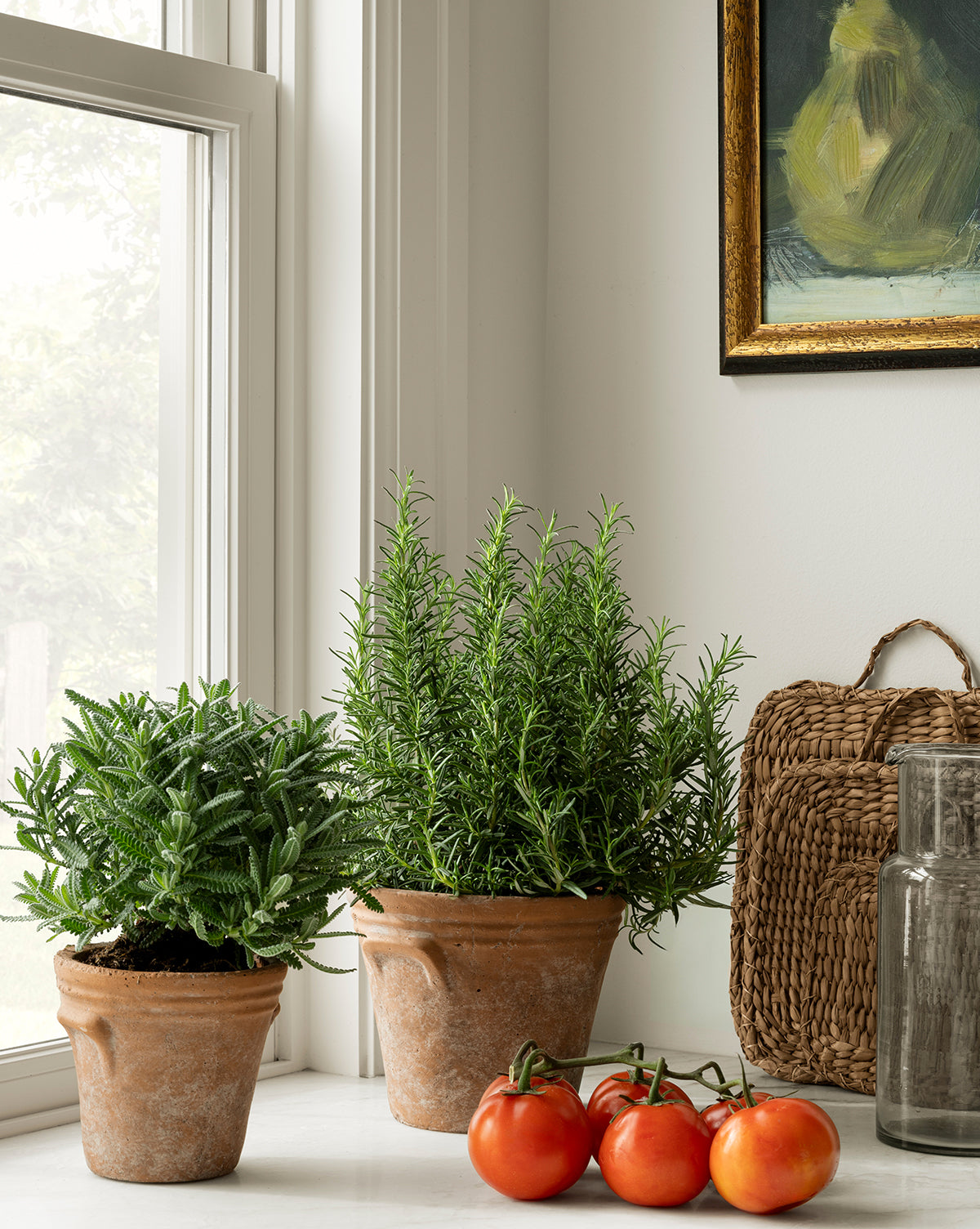 Two HomArt Cordelia Planter pots with herb plants sit on a white windowsill next to three ripe tomatoes. In the background, there’s a woven basket, a clear glass jar, and framed timeless artwork. Vendixs