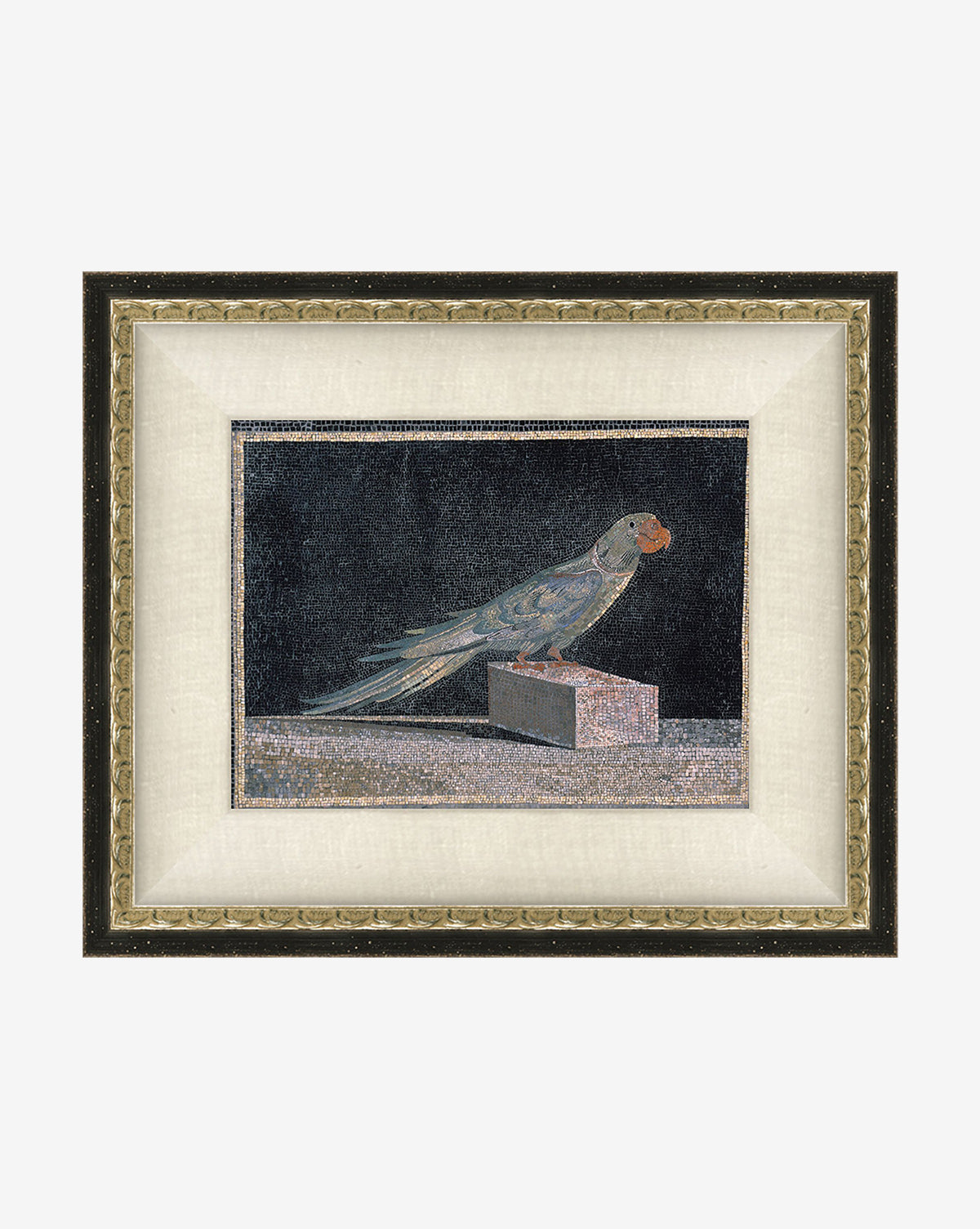 Blue Parrot
