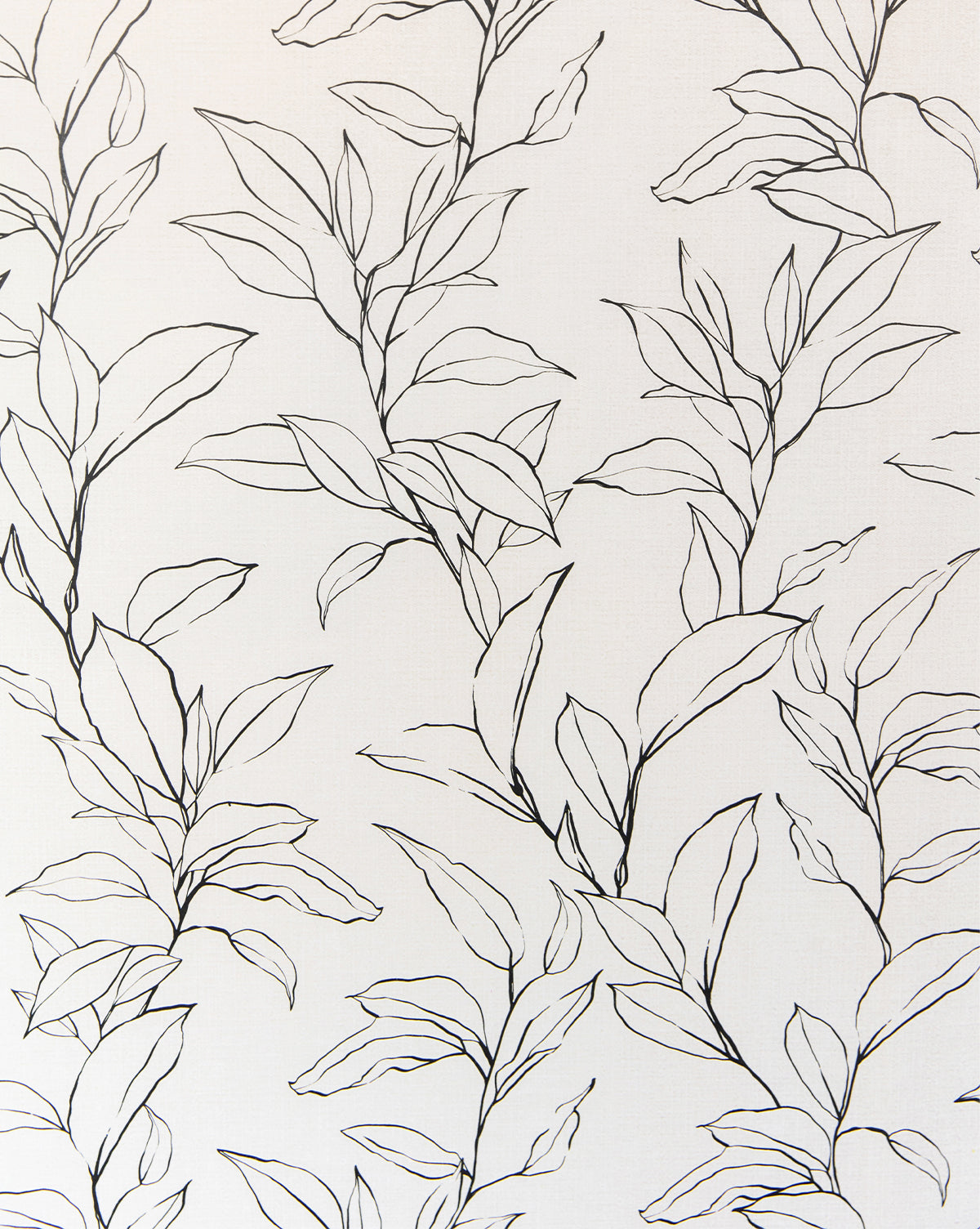 The Cecile Floral Print Wallpaper by York Wallcoverings features a black line art illustration of leafy branches on white, creating a minimalistic, elegant botanical pattern with thin lines and a graceful, repetitive design. Vendixs