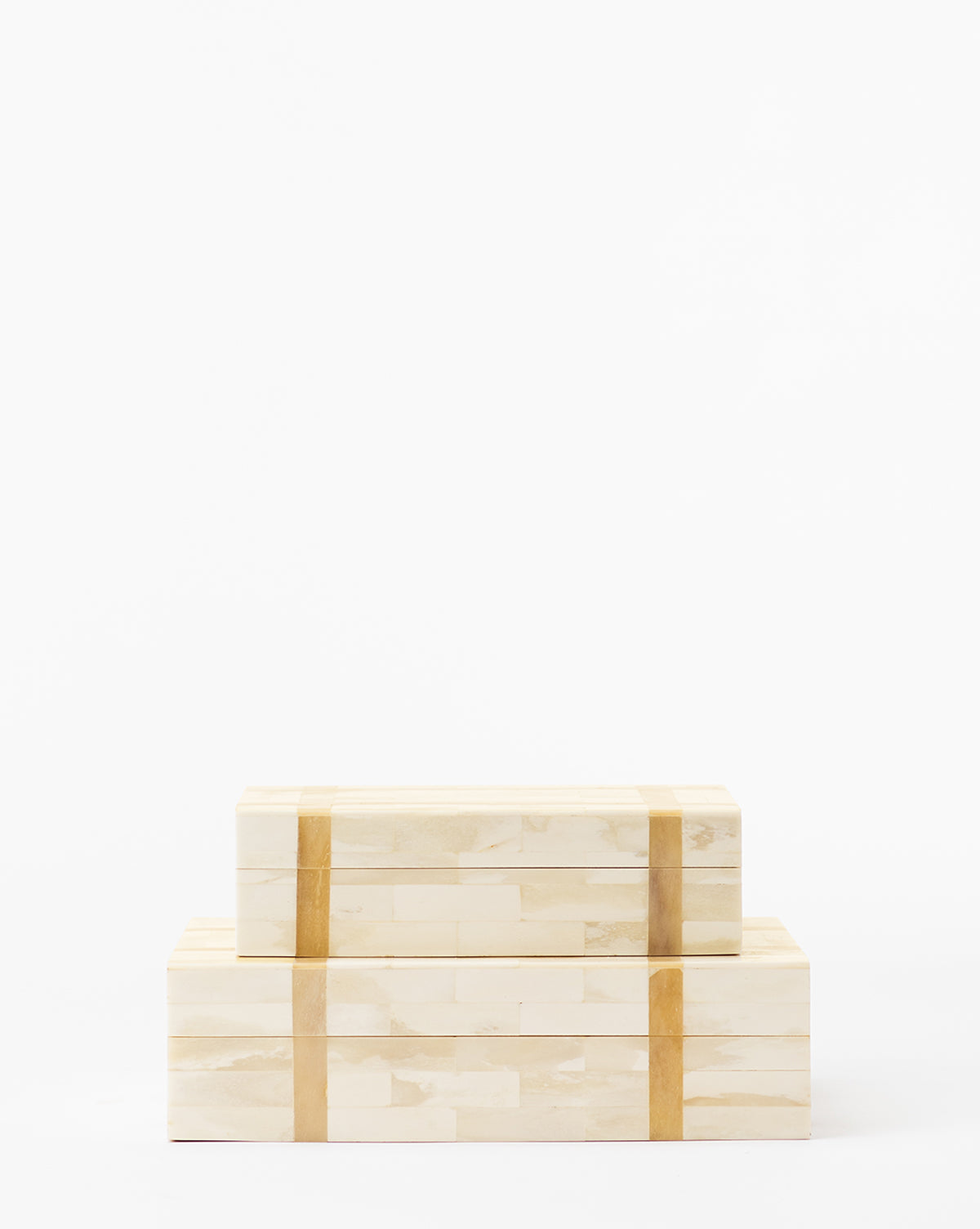 Paige Bone Box