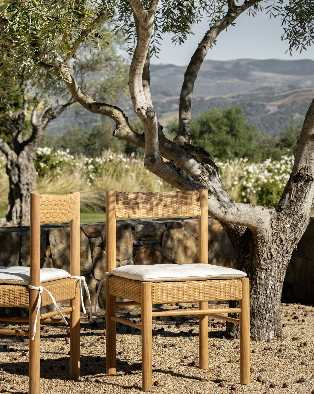 Two Simeon Outdoor Dining Chairs with woven backs and beige cushions sit on gravel under an olive tree. Mountains, greenery, and a stone wall are visible in the background as sunlight softly illuminates the tranquil setting, by Vendixs
