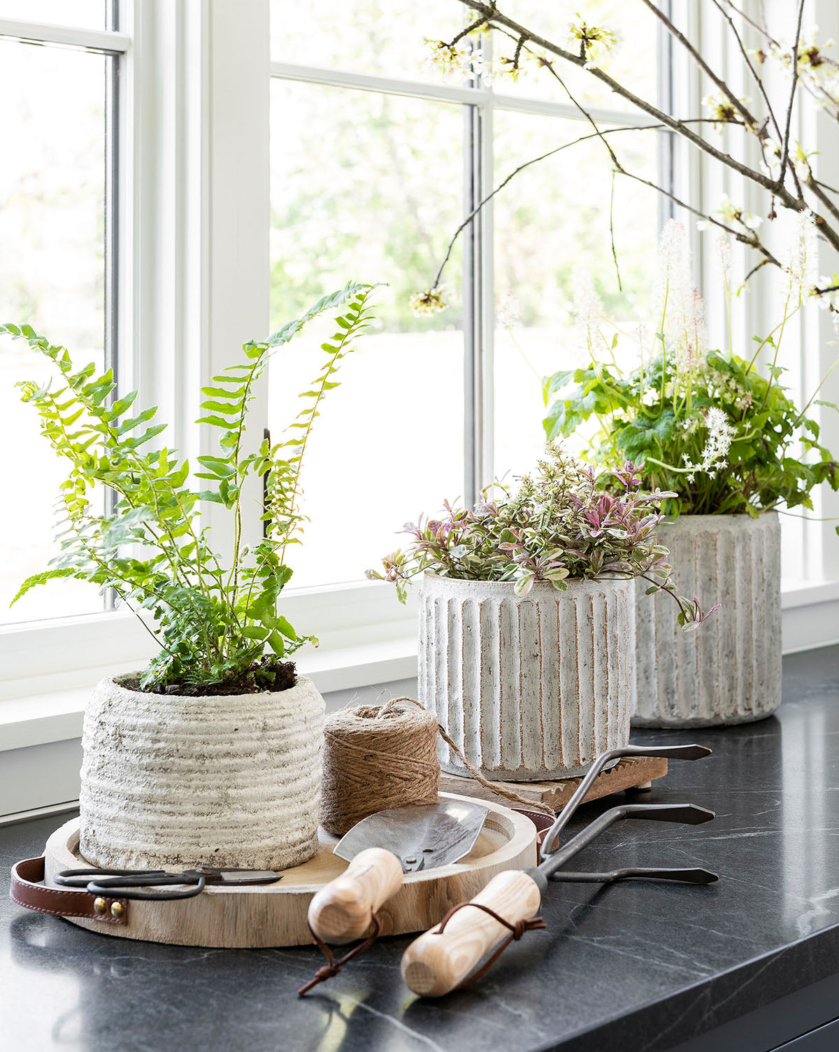 Whitewashed Ridge Pot in small size, shown on a kitchen shelf with greenery, highlighting matte glaze, from Vendixs